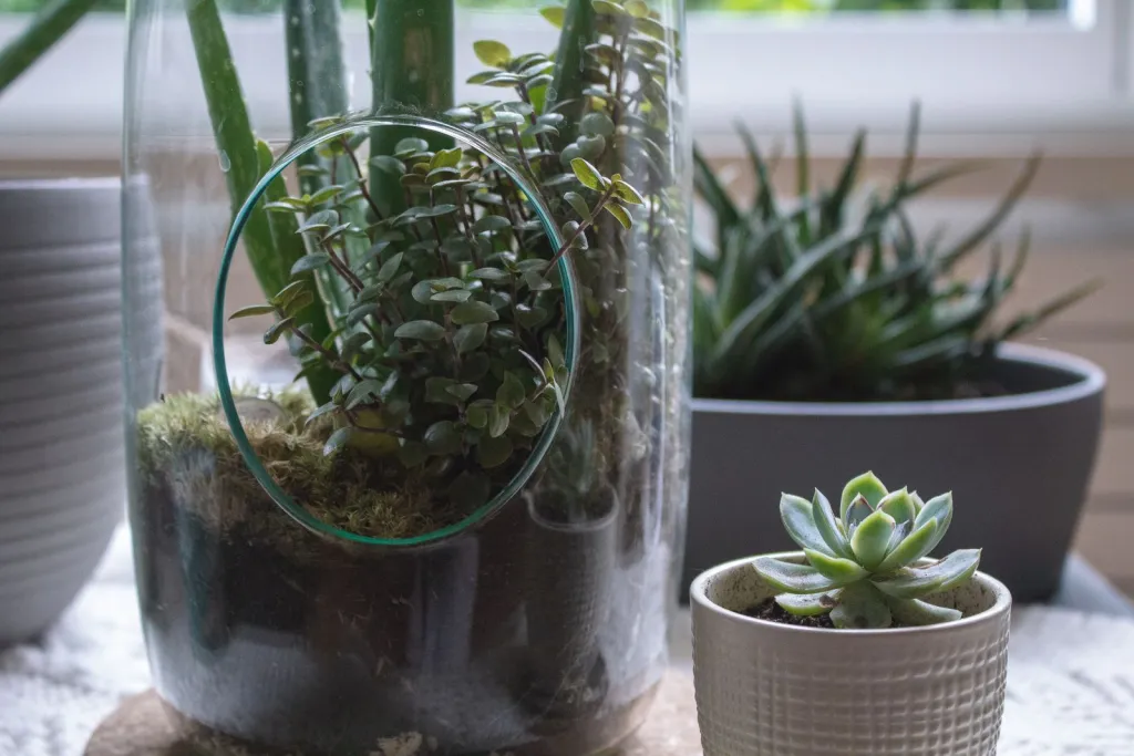 Small Gardens, Thoughtfully Made